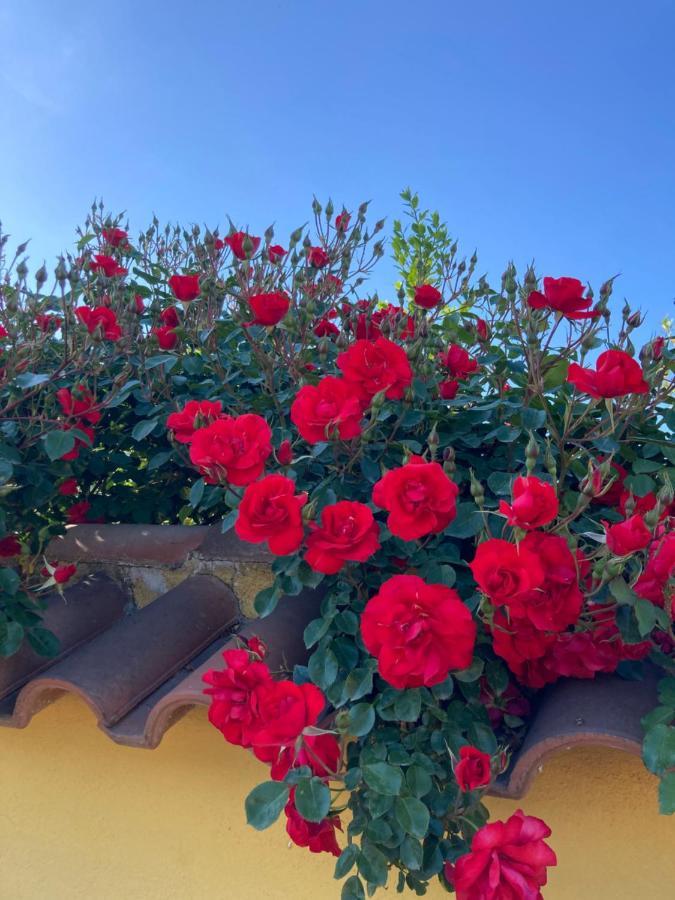 La Rosa Del Lago Bracciano  Zewnętrze zdjęcie