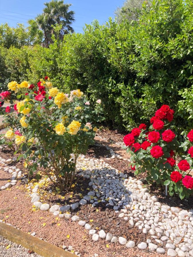 La Rosa Del Lago Bracciano  Zewnętrze zdjęcie