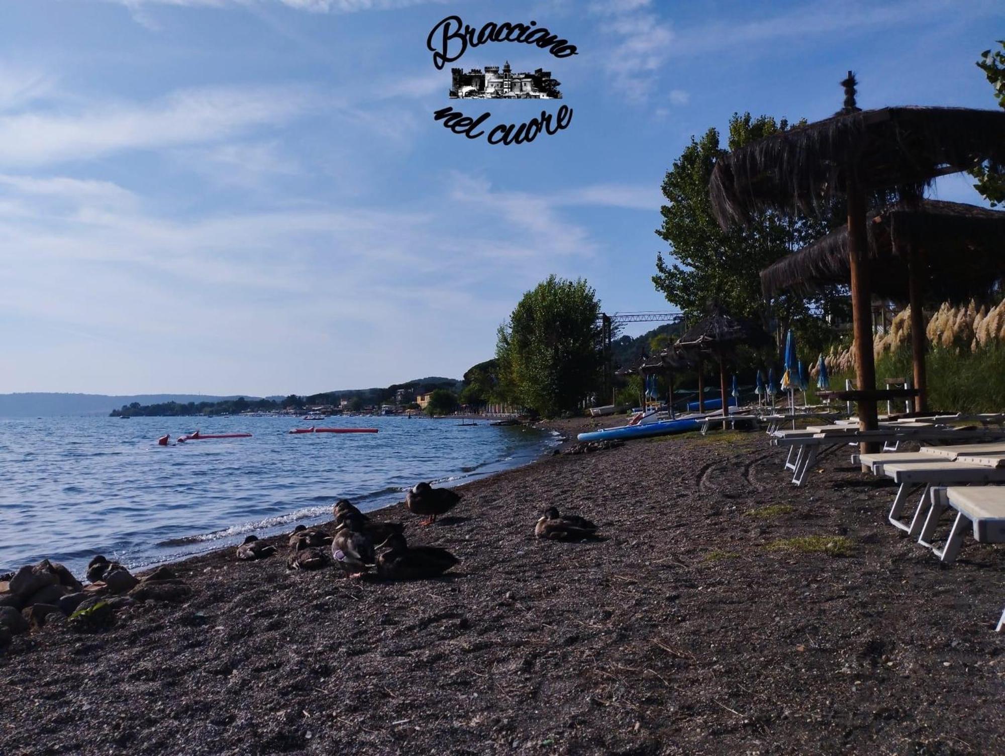 La Rosa Del Lago Bracciano  Zewnętrze zdjęcie