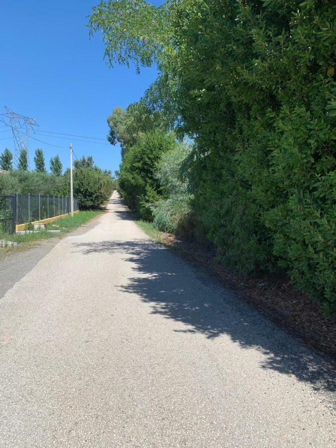 La Rosa Del Lago Bracciano  Zewnętrze zdjęcie