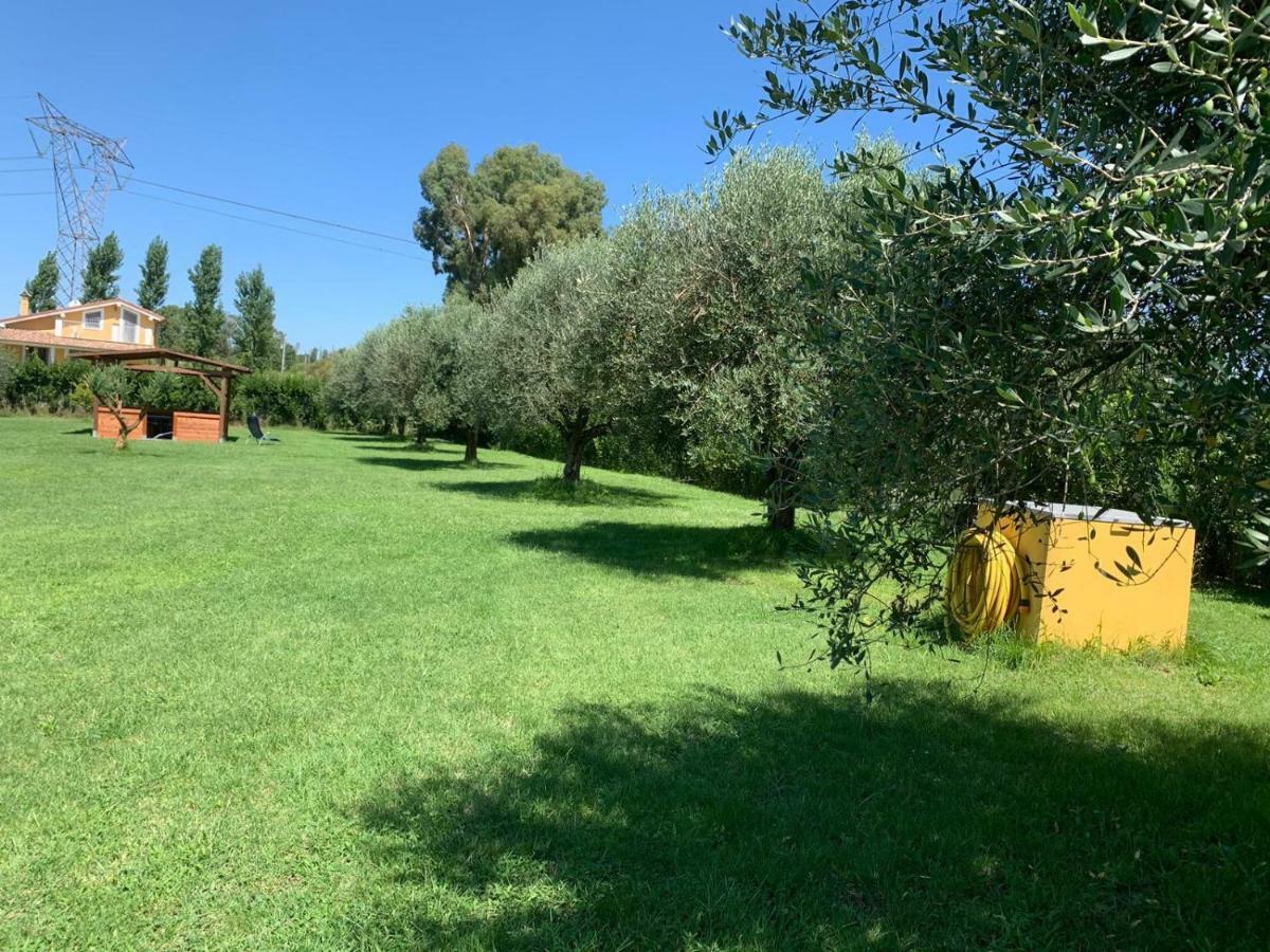 La Rosa Del Lago Bracciano  Zewnętrze zdjęcie